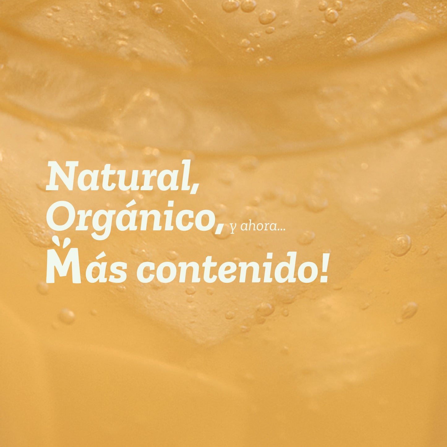 Vinagre de manzana con la madre orgánico 1 lt