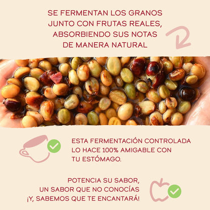 café fermentado manzato información